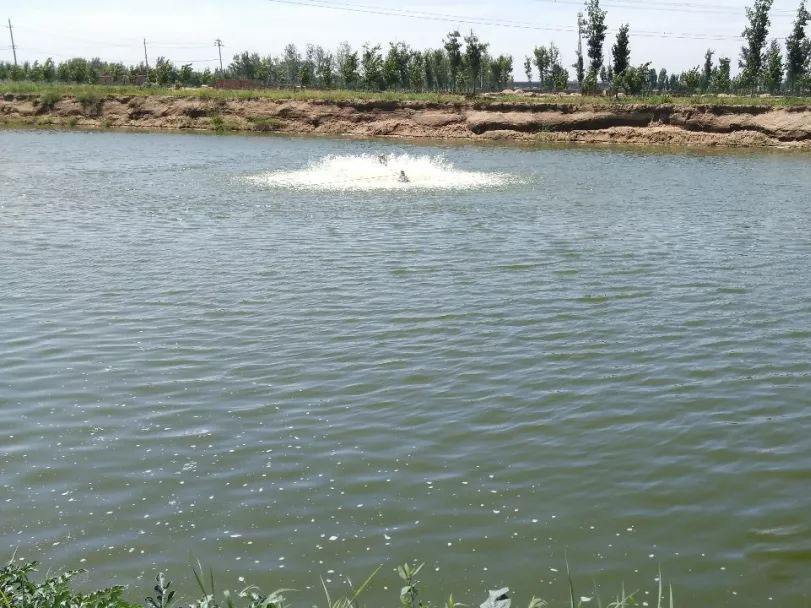 水體立體增氧